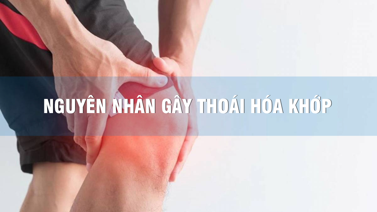 Nguyên nhân gây thoái hóa khớp gối