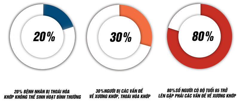 tỷ lệ mắc bệnh xương khớp